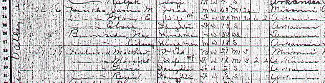 1910 Randolph County, AR - Water Valley Township